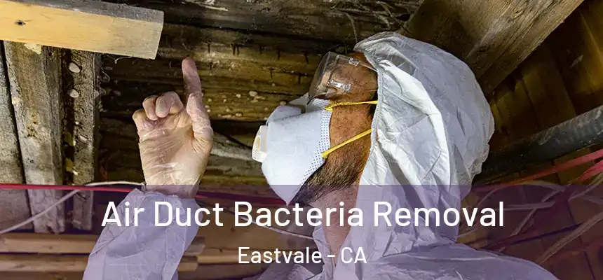 Air Duct Bacteria Removal Eastvale - CA
