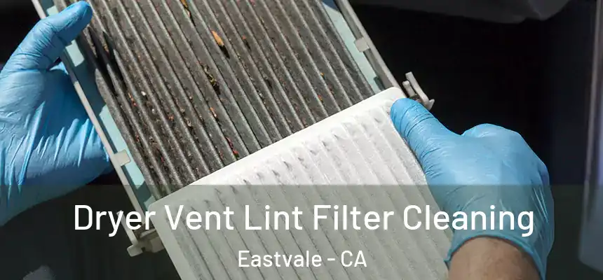  Dryer Vent Lint Filter Cleaning Eastvale - CA