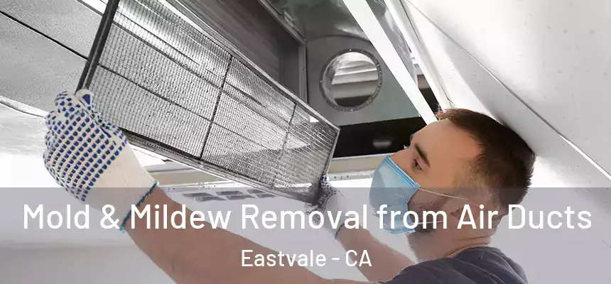  Mold & Mildew Removal from Air Ducts Eastvale - CA