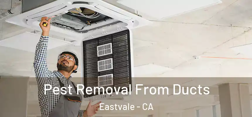  Pest Removal From Ducts Eastvale - CA