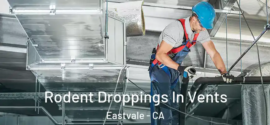  Rodent Droppings In Vents Eastvale - CA