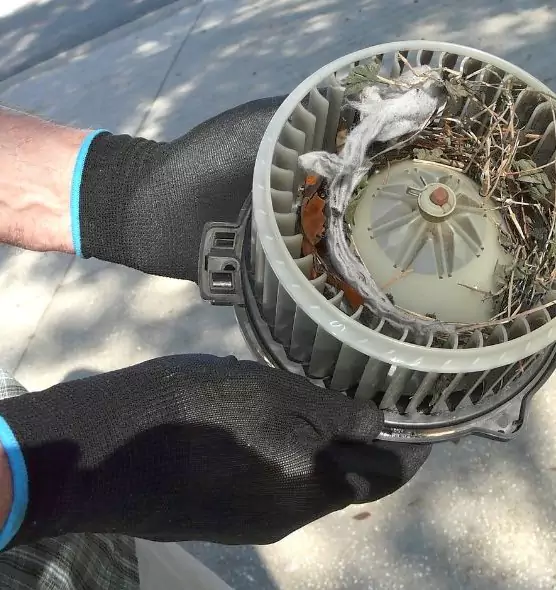 About Air Duct Mice Removal in Eastvale, CA