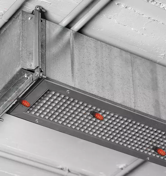 Affordable Insect Removal from Air Ducts in Eastvale, CA