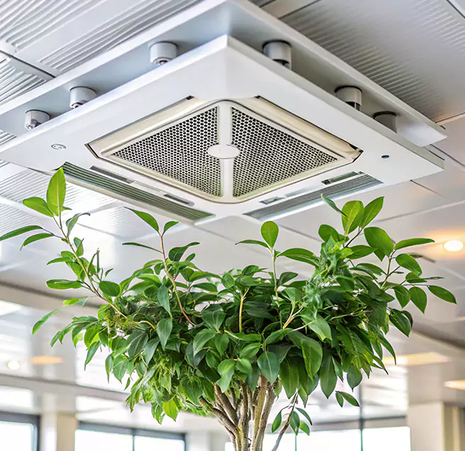 Why Homeowners & Businesses Trust Us in Eastvale, CA?