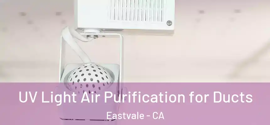  UV Light Air Purification for Ducts Eastvale - CA
